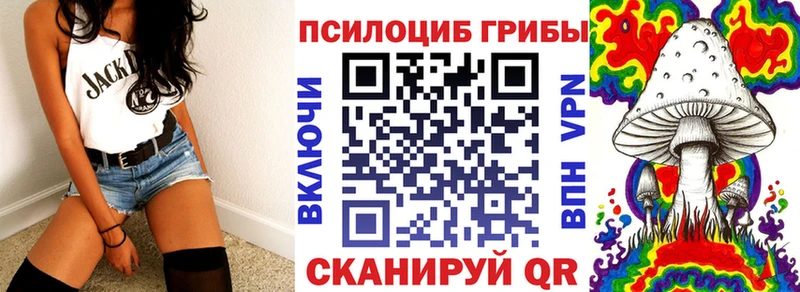 Псилоцибиновые грибы Magic Shrooms  MEGA зеркало  Порхов  цена  